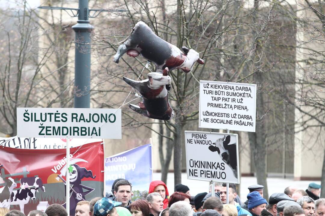 Pieno gamintojų protesto akcija