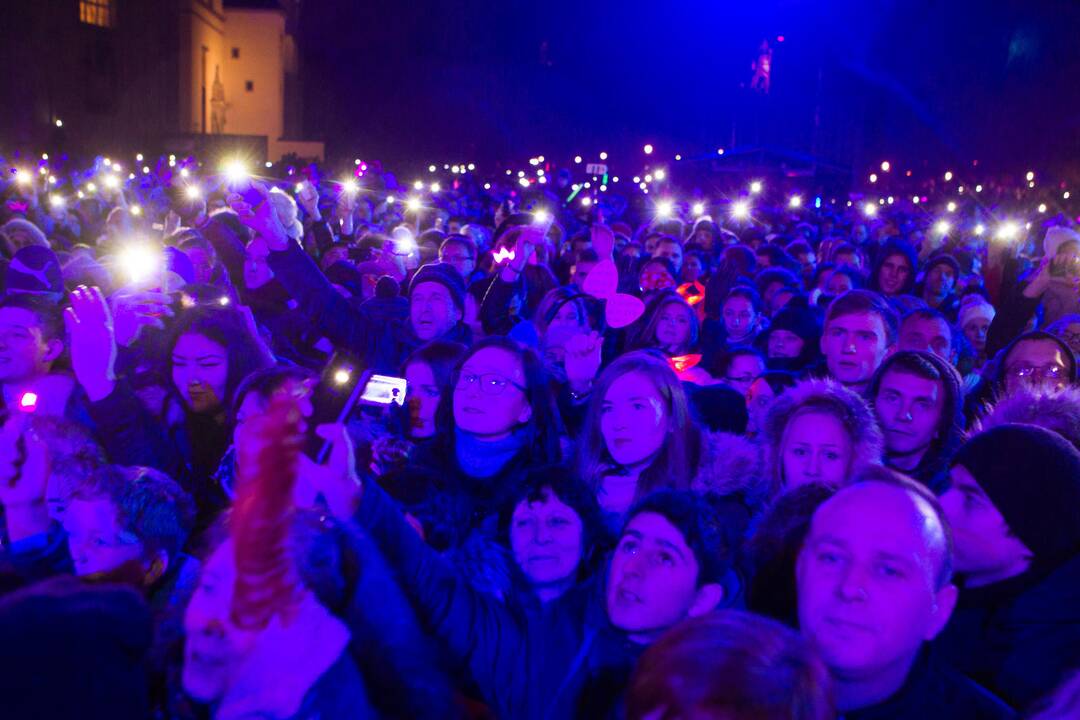 Vilniaus eglė jau spindi