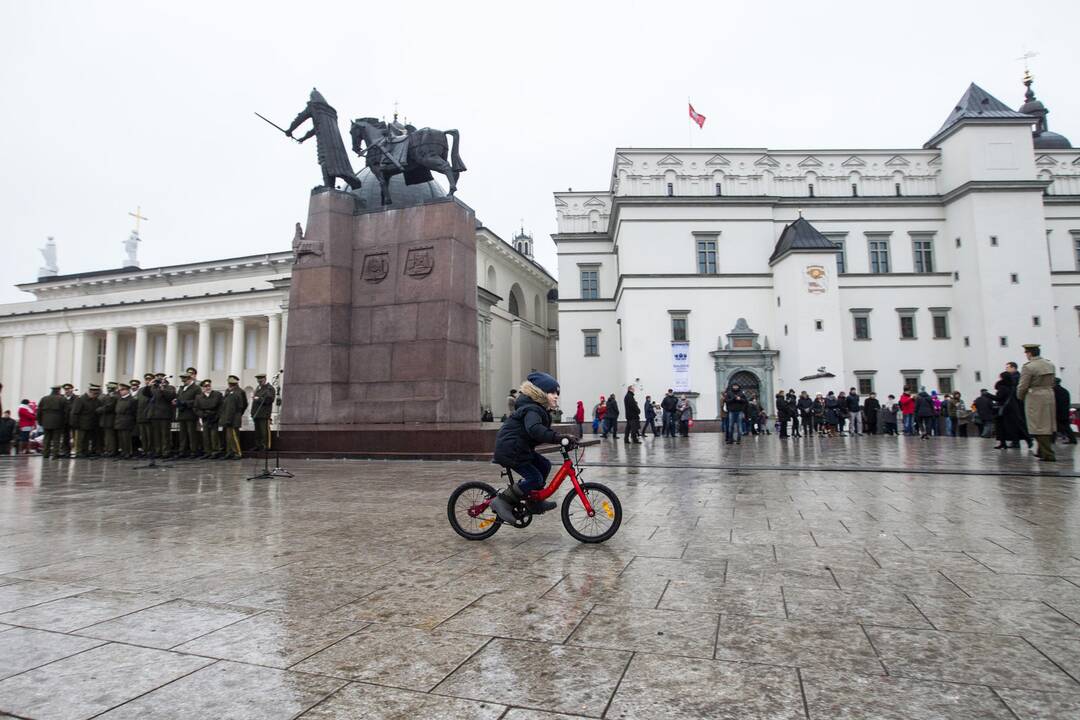 Vėliavos dienos ceremonija Vilniuje