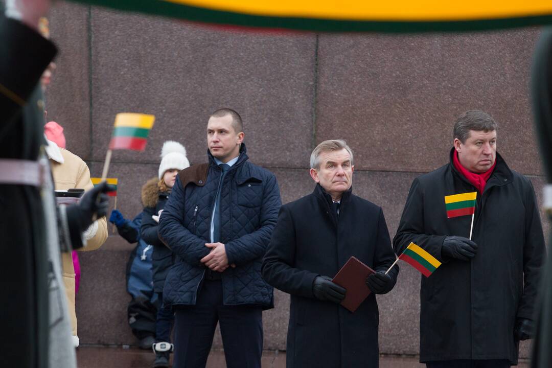 Vėliavos dienos ceremonija Vilniuje