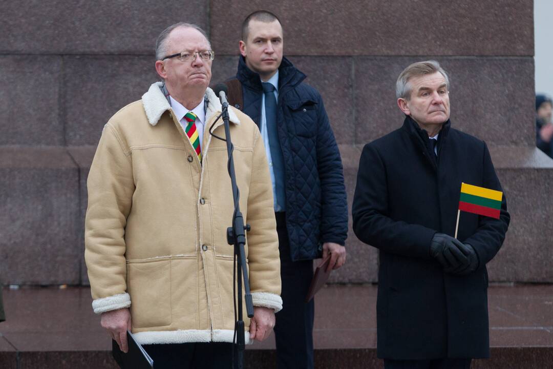 Vėliavos dienos ceremonija Vilniuje