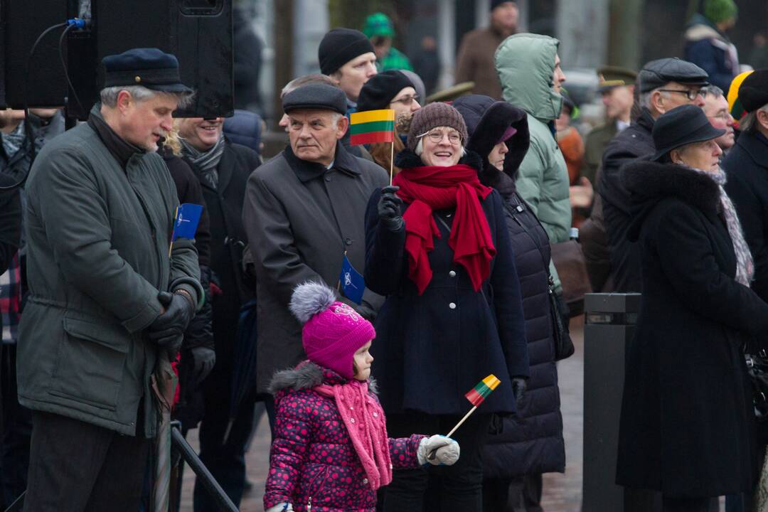 Vėliavos dienos ceremonija Vilniuje