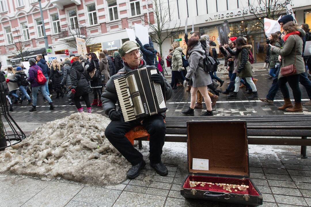 Pirmosios Lietuvoje eitynės už gyvūnus