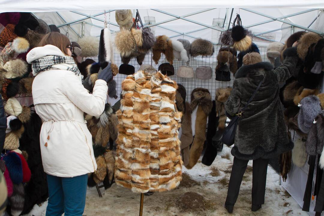 Tradicinės žirgų lenktynės "Sartai 2017"