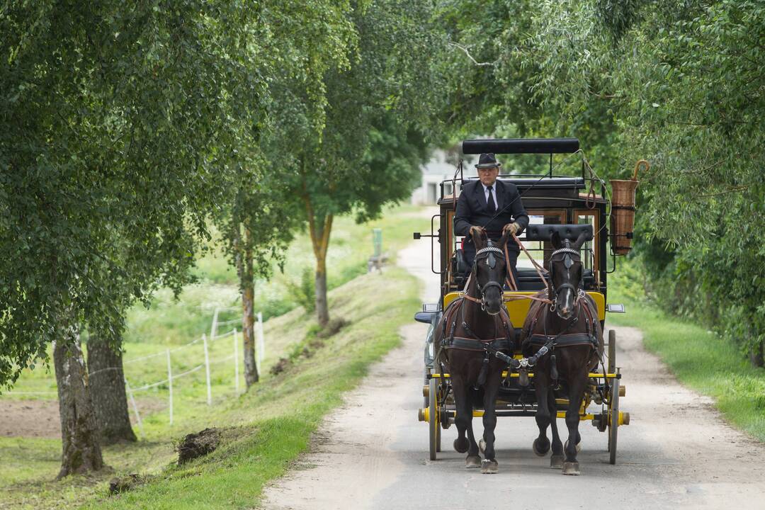 Pristatytos monetos iš serijos "Lietuvos gamta"