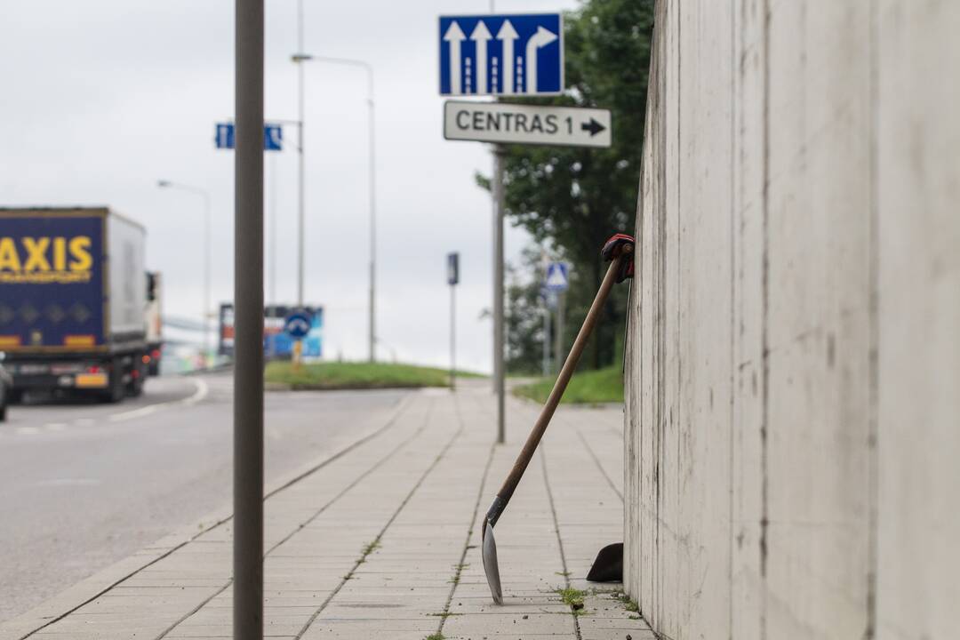 Geležinio Vilko g. rekonstrukcija