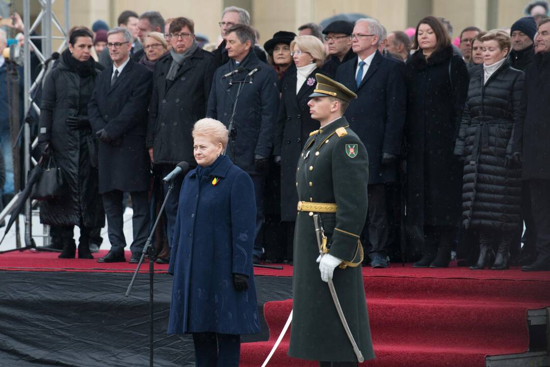 Vėliavų pakėlimo ceremonija Kovo 11-osios proga