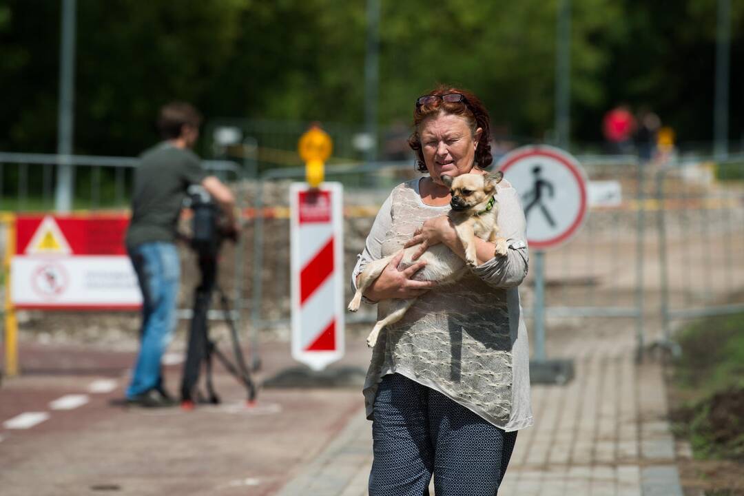 Dviračių tako nuošliauža P. Vileišio gatvėje