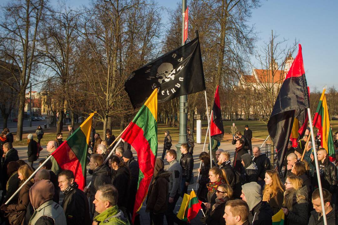 Patriotinės eitynės „Tėvynei“ sostinės Gedimino prospektu