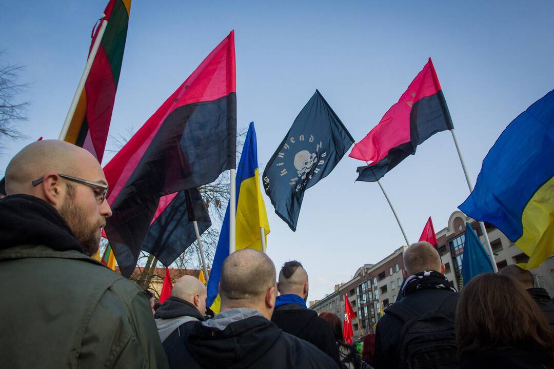 Patriotinės eitynės „Tėvynei“ sostinės Gedimino prospektu