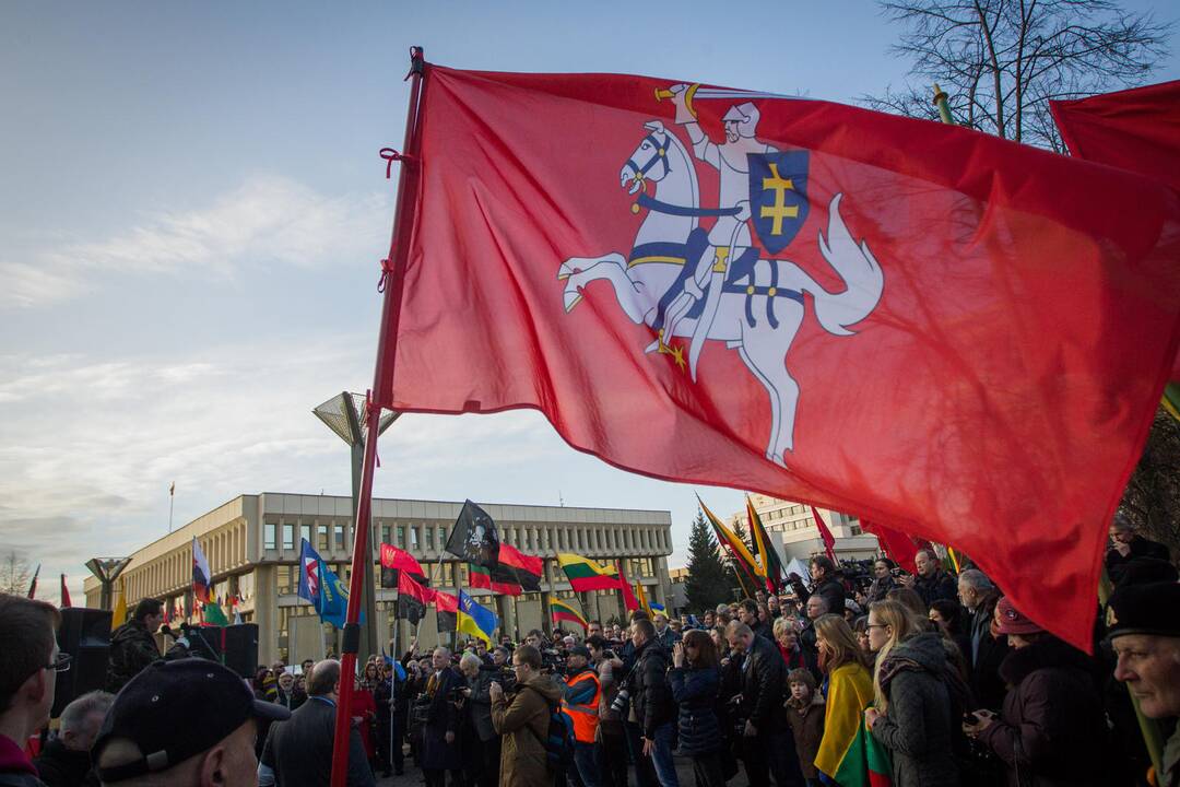 Patriotinės eitynės „Tėvynei“ sostinės Gedimino prospektu