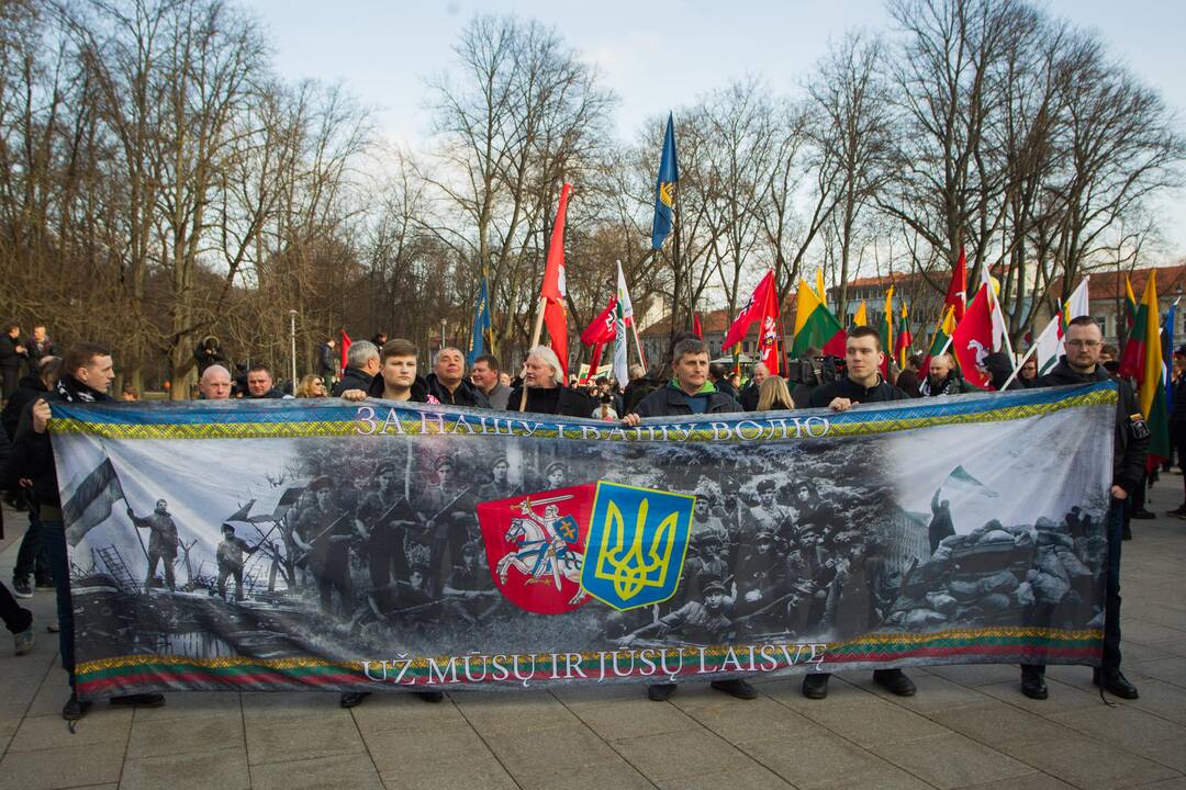 Patriotinės eitynės „Tėvynei“ sostinės Gedimino prospektu