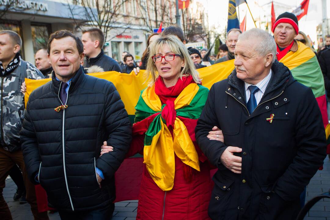 Patriotinės eitynės „Tėvynei“ sostinės Gedimino prospektu