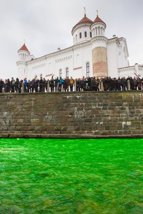 Žaliai nuspalvinta Vilnelė