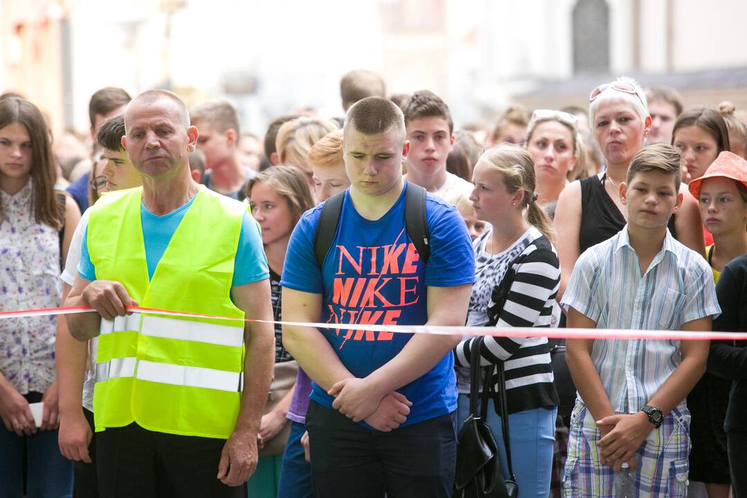 Tautinių mažumų mokyklų protesto akcija