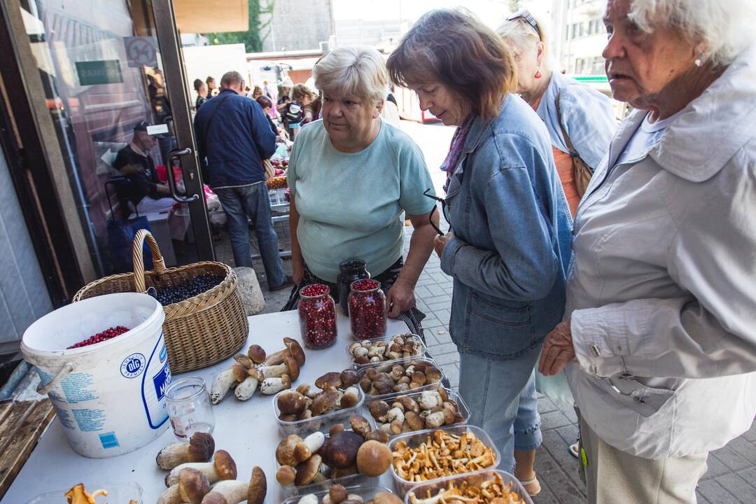 Baravykų Kauno turguose – nedaug