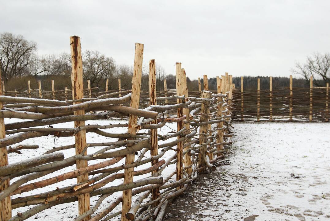 Kernavėje kyla viduramžių miestelis