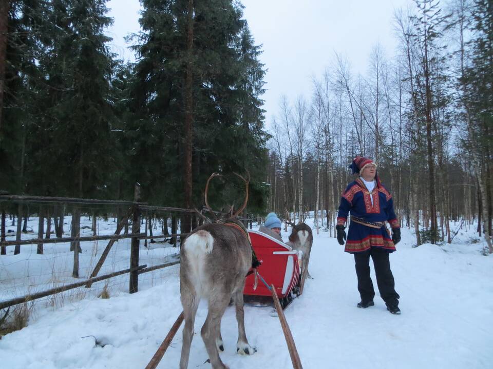 Laplandija: per balas pas Joulupukį