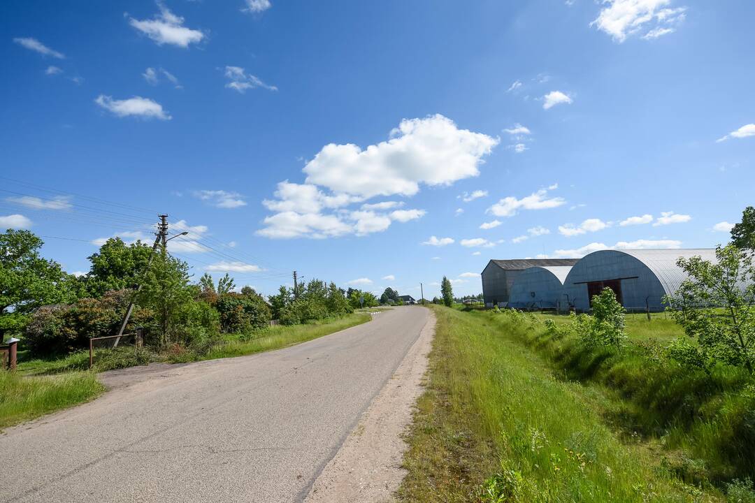 Gyvenimas šalia kiaulidžių