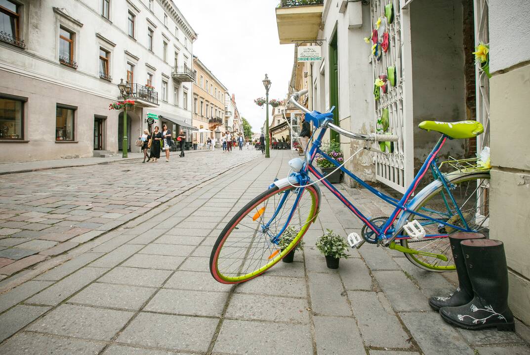 Pasivaikščiojimas po Vilniaus gatvę