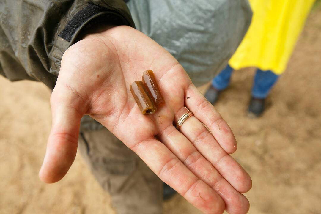 Kauno marių regioninis parkas