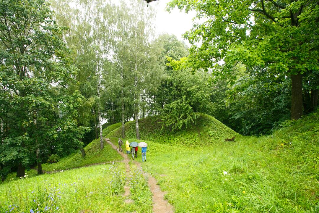 Kauno marių regioninis parkas