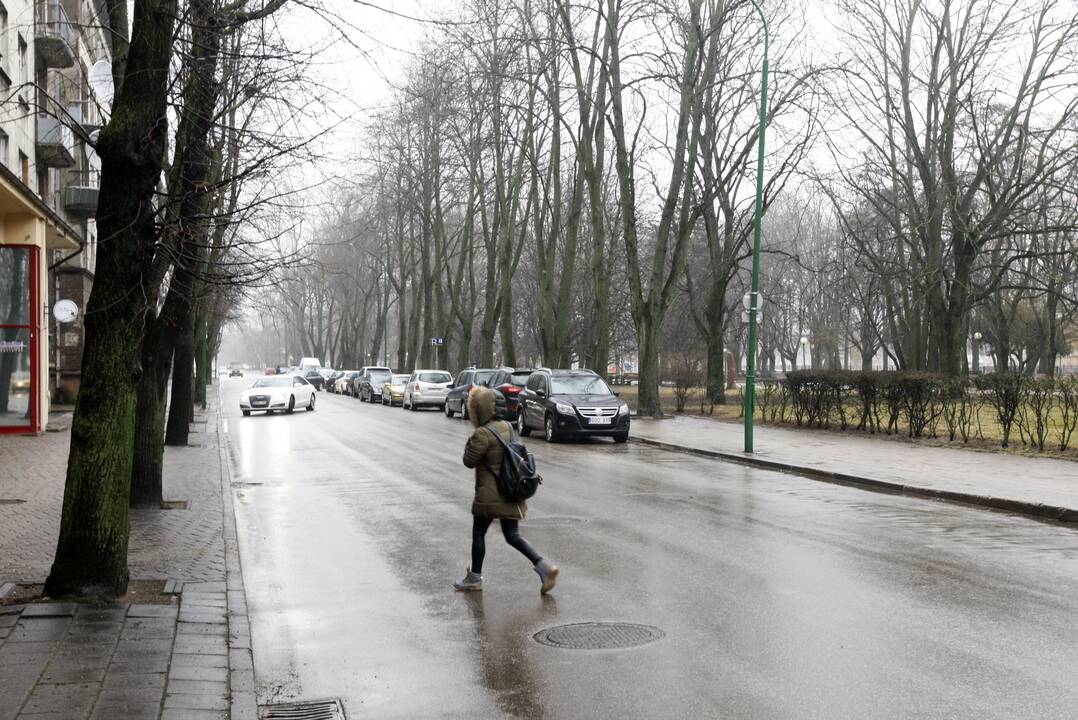 Idėjos: šiuo metu įsibėgėjo Danės gatvės, kuri bus rekonstruojama ir virs kur kas platesne, planavimo darbai.