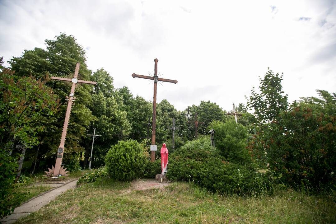 Dažais apipurkšta Švč. Mergelės Marijos statula