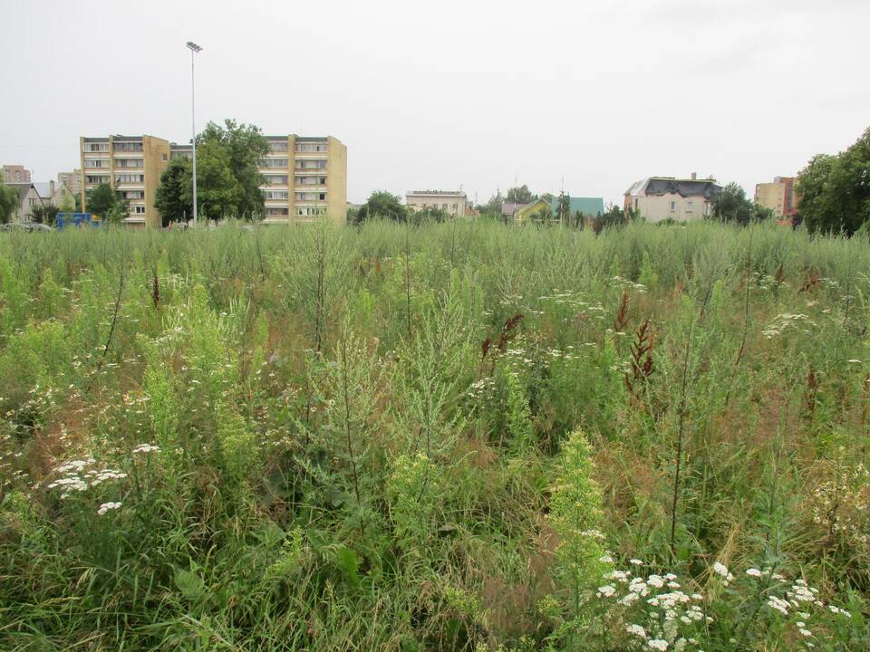 Pradėtas tvarkyti apleistas stadionas