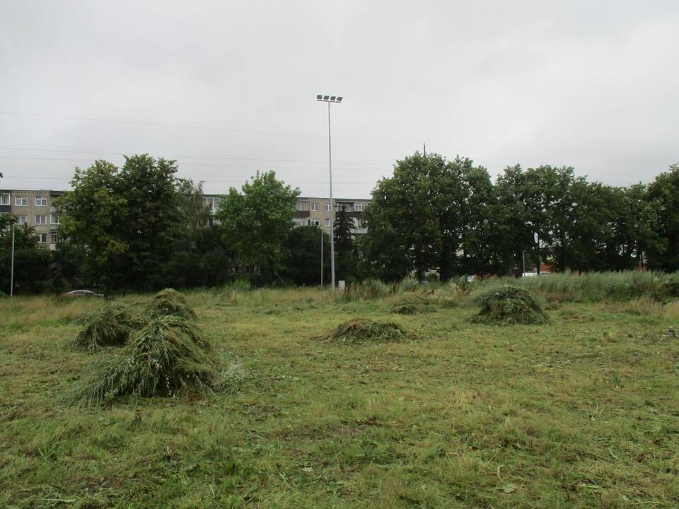 Pradėtas tvarkyti apleistas stadionas