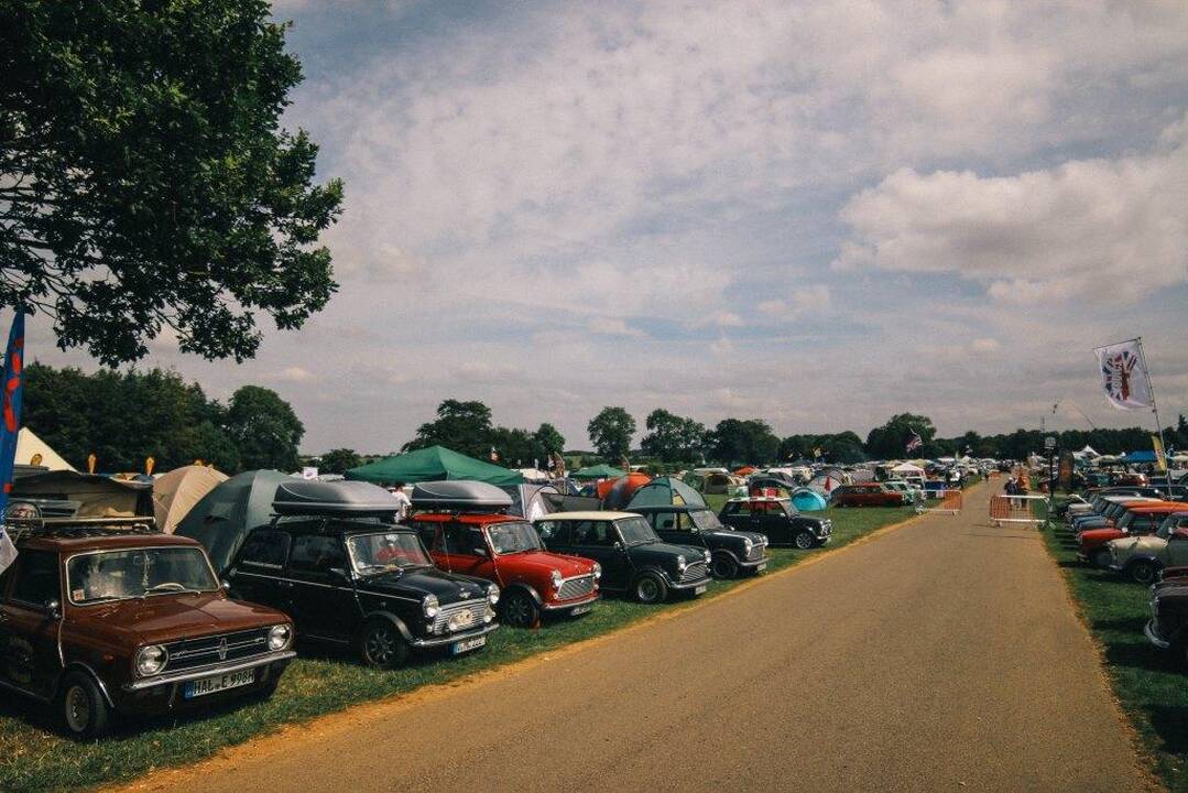IMM 2015