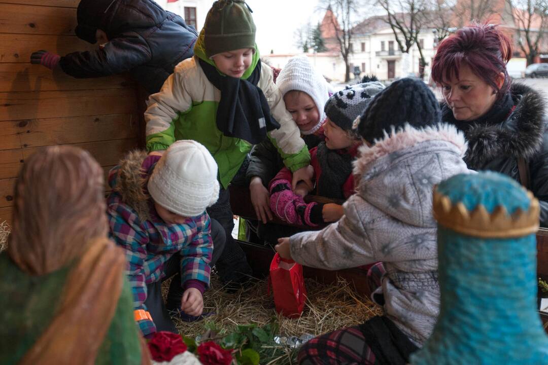 Prakartėlė kartu su avelėmis iškeliauja Iš Kauno rotušės aikštės