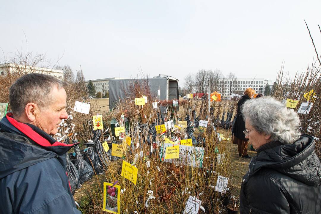 Paroda "Ką pasėsi 2015"