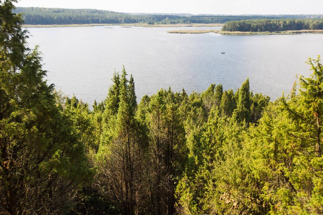 Talka Kadagių slėnyje