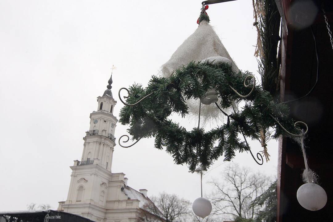 Rengiamasi Kauno Kalėdų eglės įžiebimui