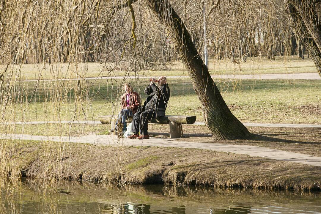 Kalniečių parkas