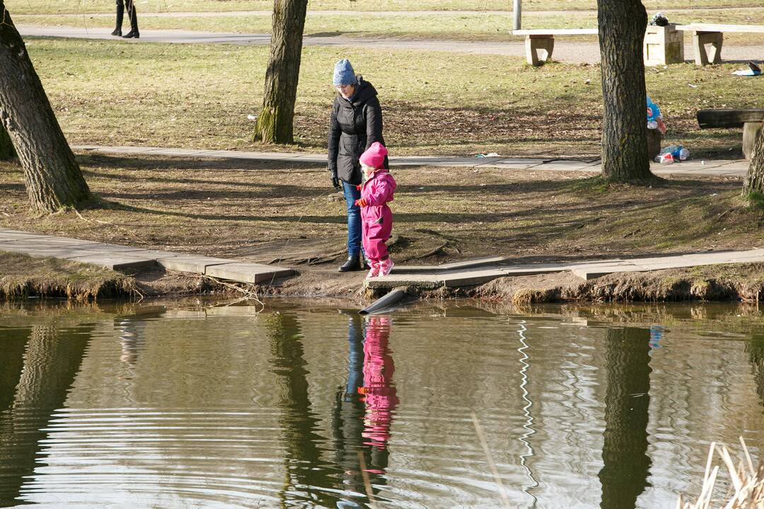 Kalniečių parkas