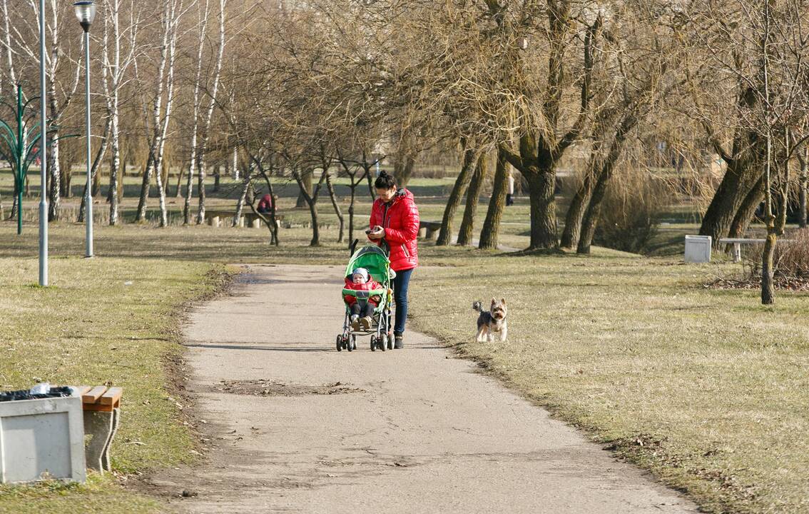 Kalniečių parkas