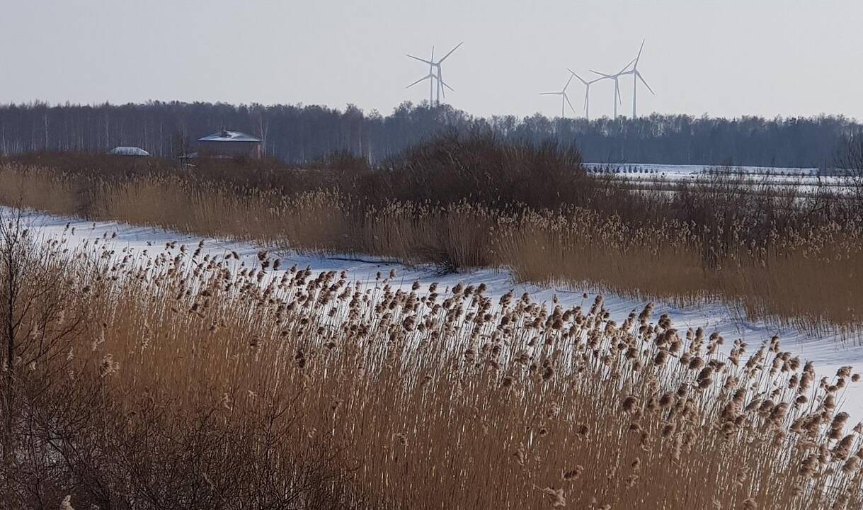 Kompleksas: garsioji sodyba ir ant tilto liekanų pastatytas namelis.