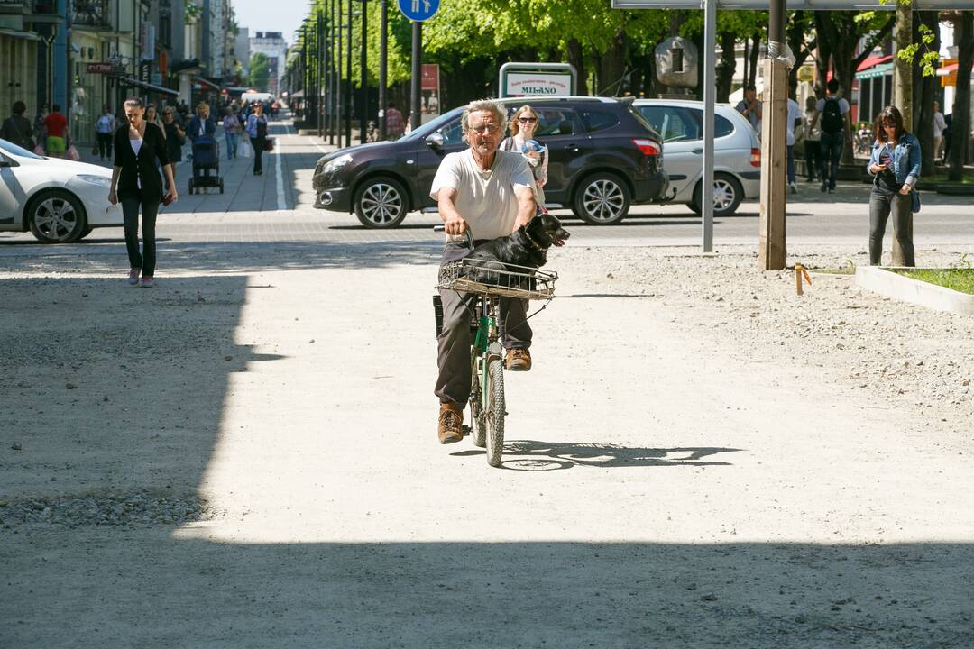 Laisvės alėjos rekonstrukcija