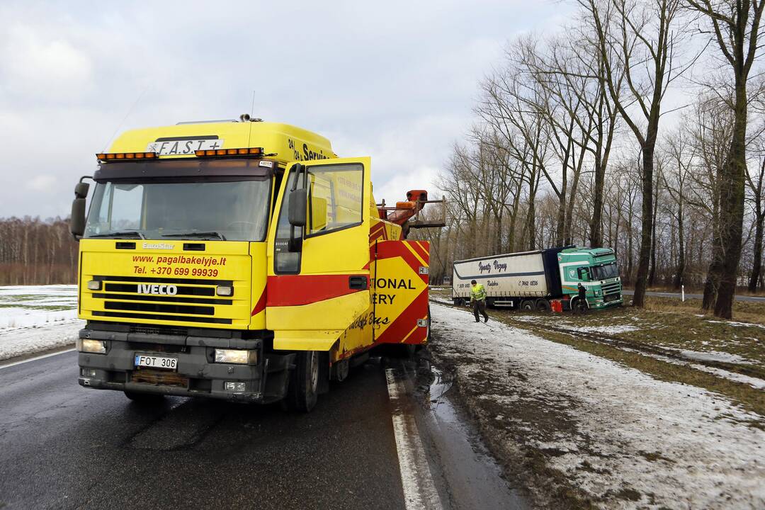 Vilkikas nuslydęs nuo Palangos kelio