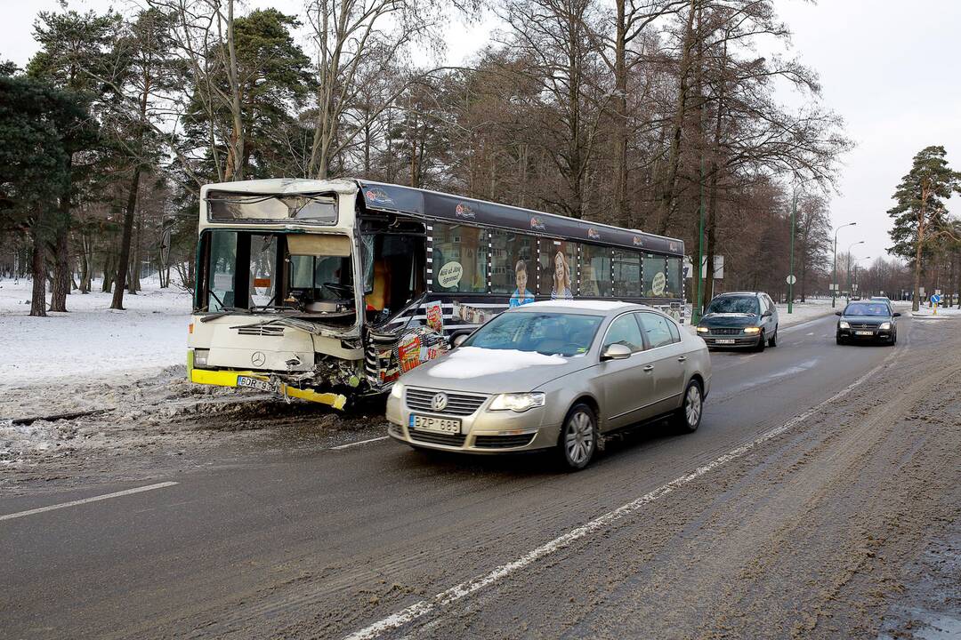 Kaktomuša susidūrė keleiviniai autobusai