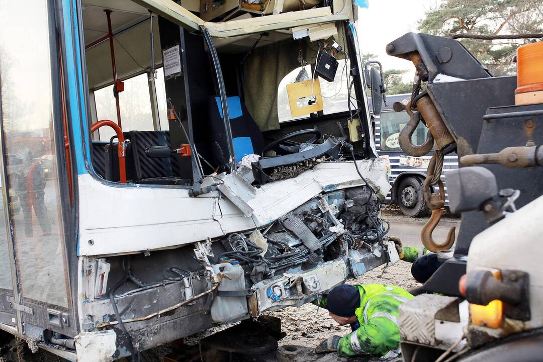 Kaktomuša susidūrė keleiviniai autobusai