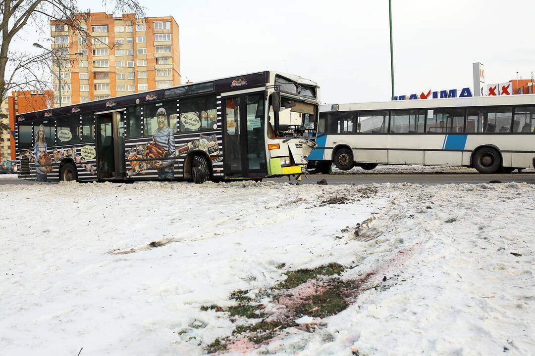 Kaktomuša susidūrė keleiviniai autobusai