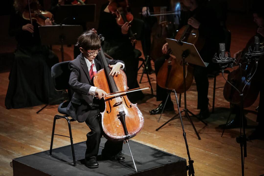 Koncertas "Žaismingos muzikos orkestras XXI"