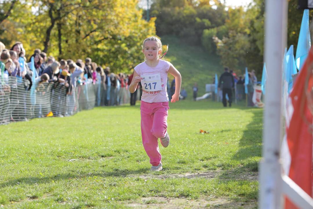 Gintarinė jurmilė