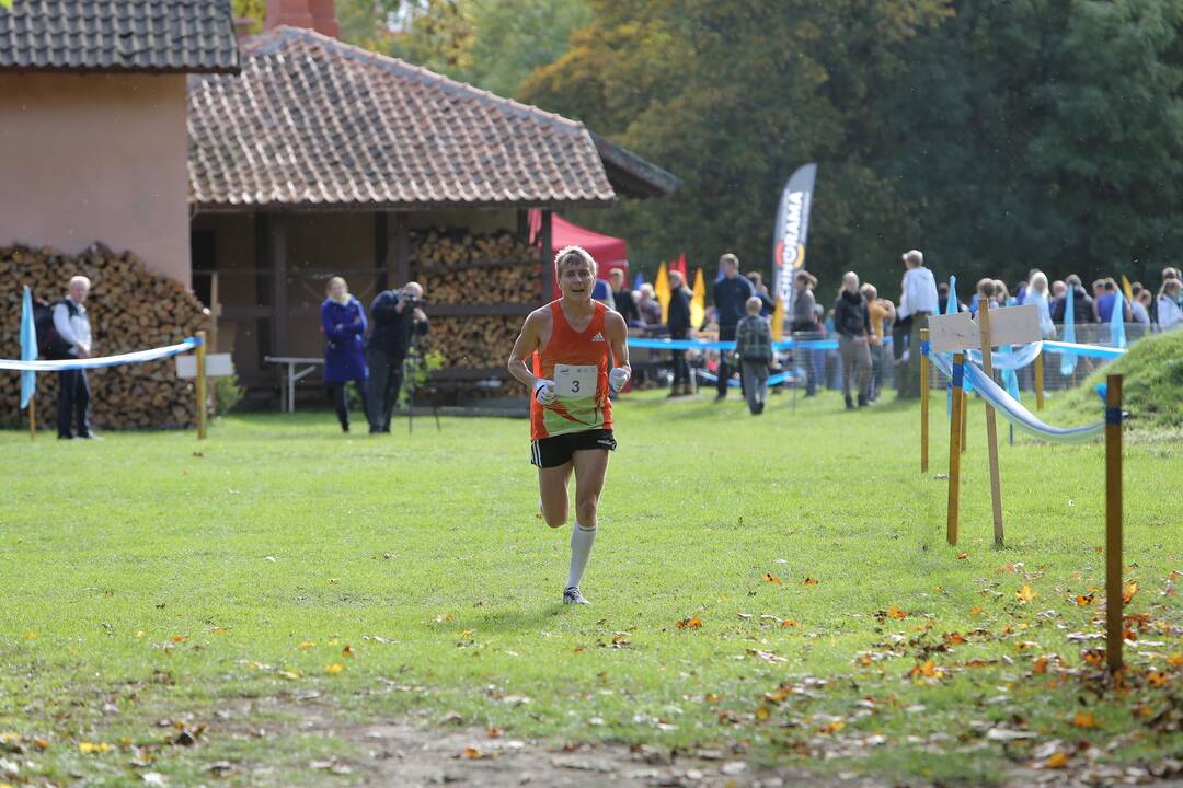 Gintarinė jurmilė