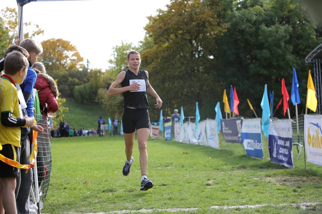 Gintarinė jurmilė