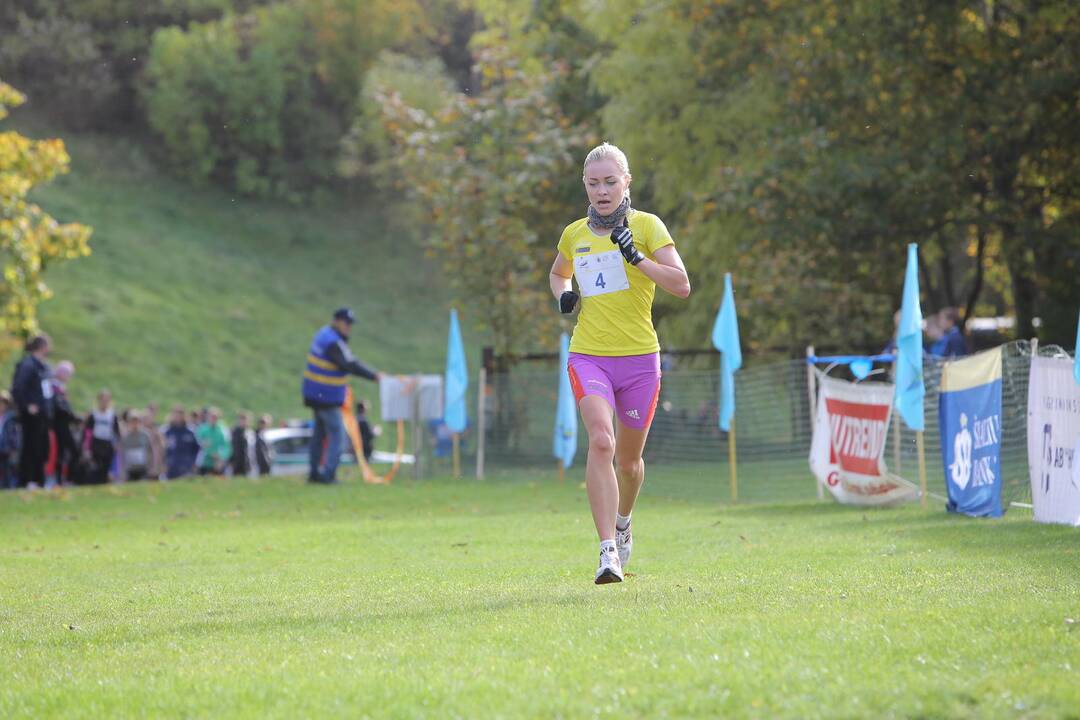 Gintarinė jurmilė