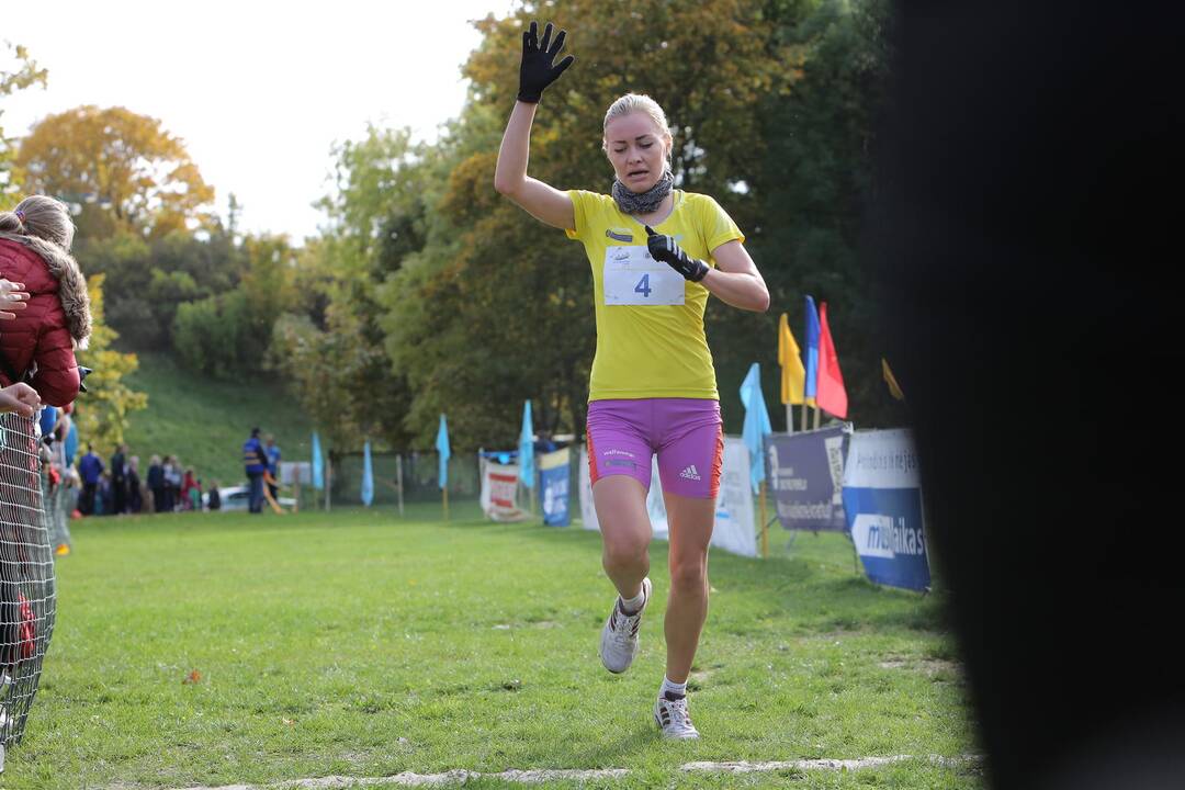 Gintarinė jurmilė